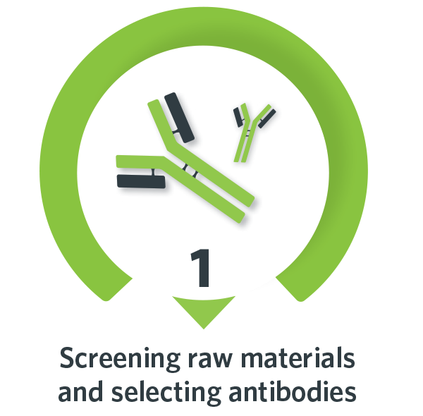 Screening raw materials and selecting antibodies