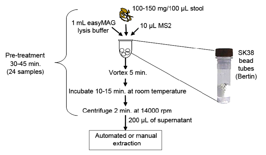 Pre-treatment procedure for fresh or frozen stool samples