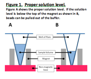 magnet-fig-1