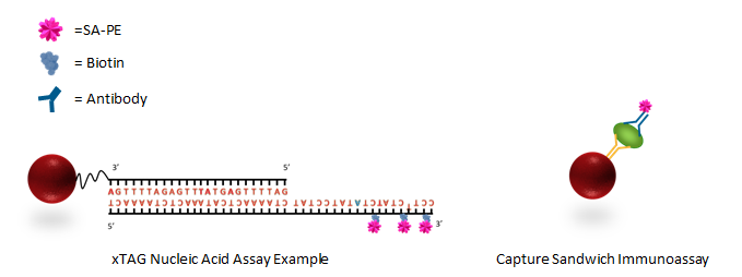 Assay Examples