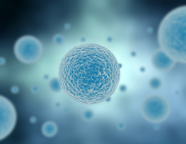 HPV Multiplexing