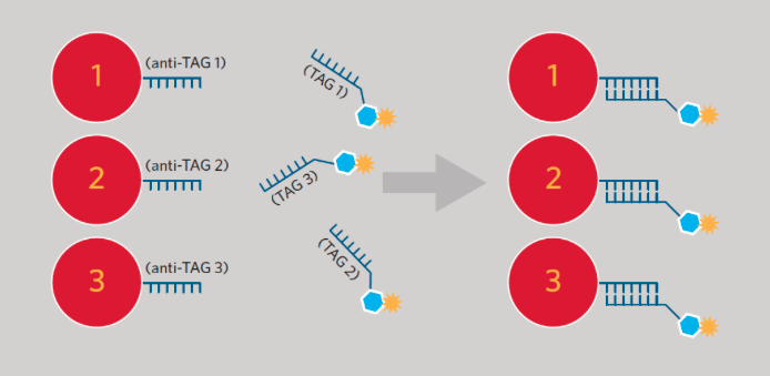 xTAG Technology