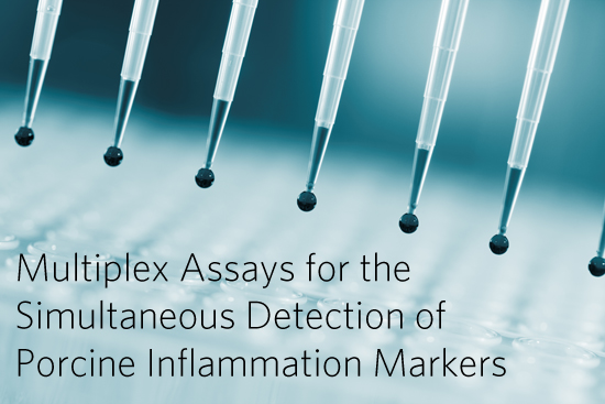 Multiplex Assay for the Simultaneous Detection of Porcine Inflammation Markers