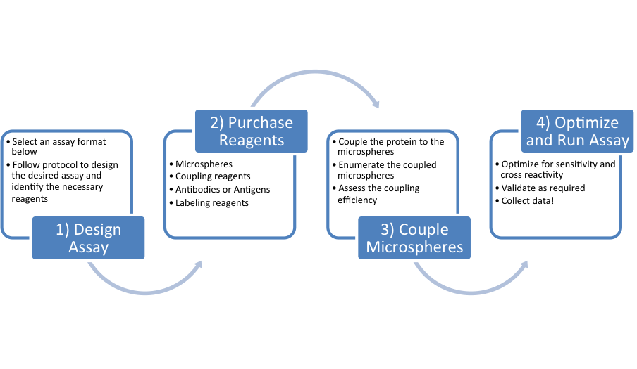 Key steps in the assay development process