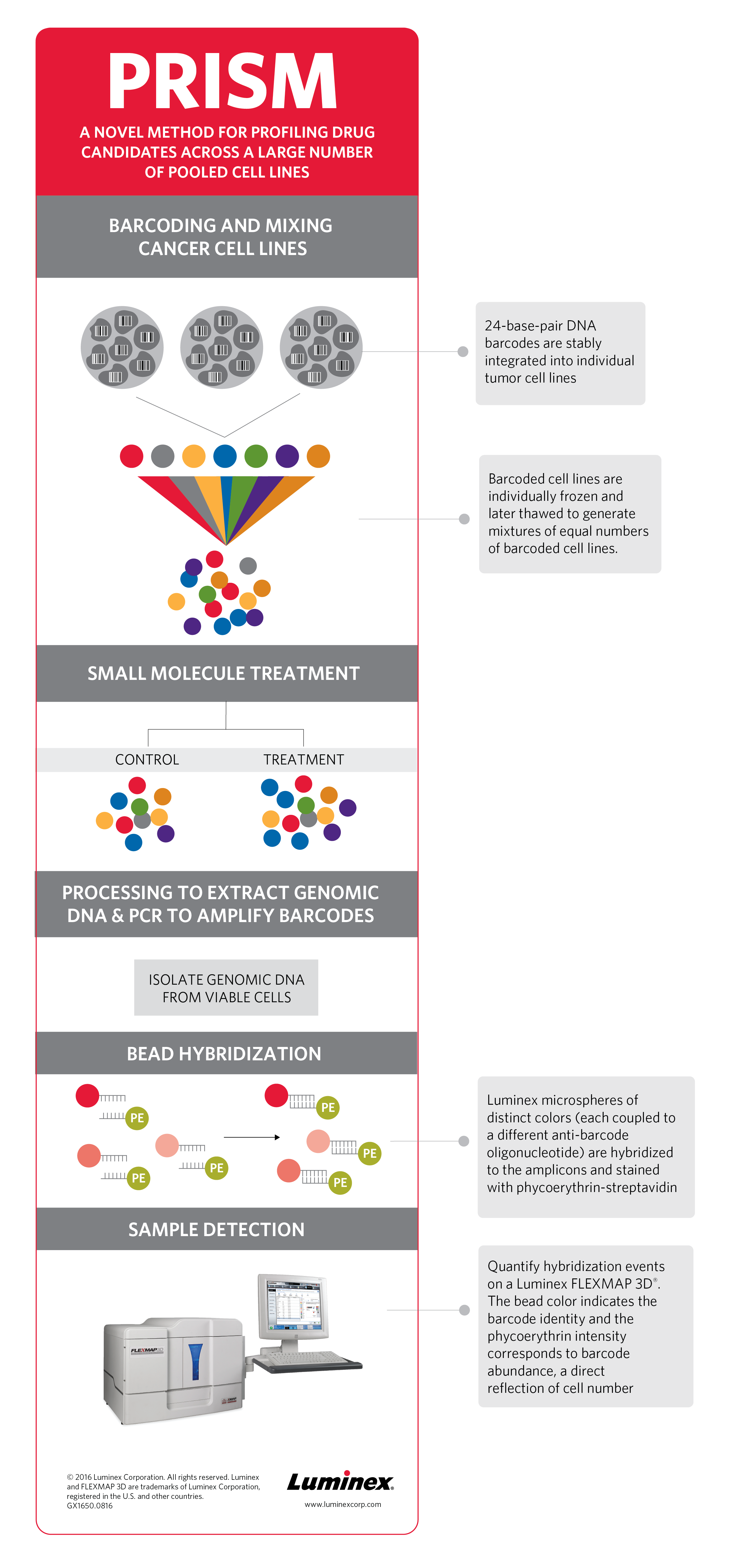 PRISM: A Novel Bead-Based Biological Barcode Assay Infographic - A Novel Method for Profiling Drug Candidates Across Large Number of Pooled Cell Lines