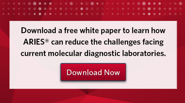 Download a free white paper to learn how ARIES® can reduce the challenges facing current molecular diagnostic laboratories