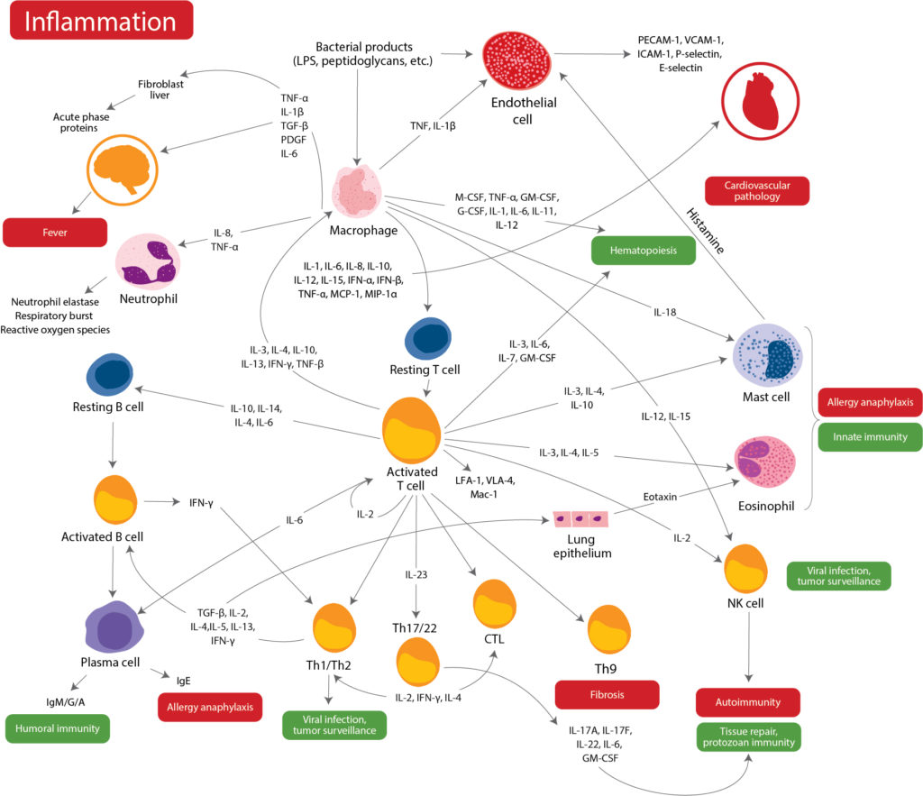 Affymetrix Inflammation Chart