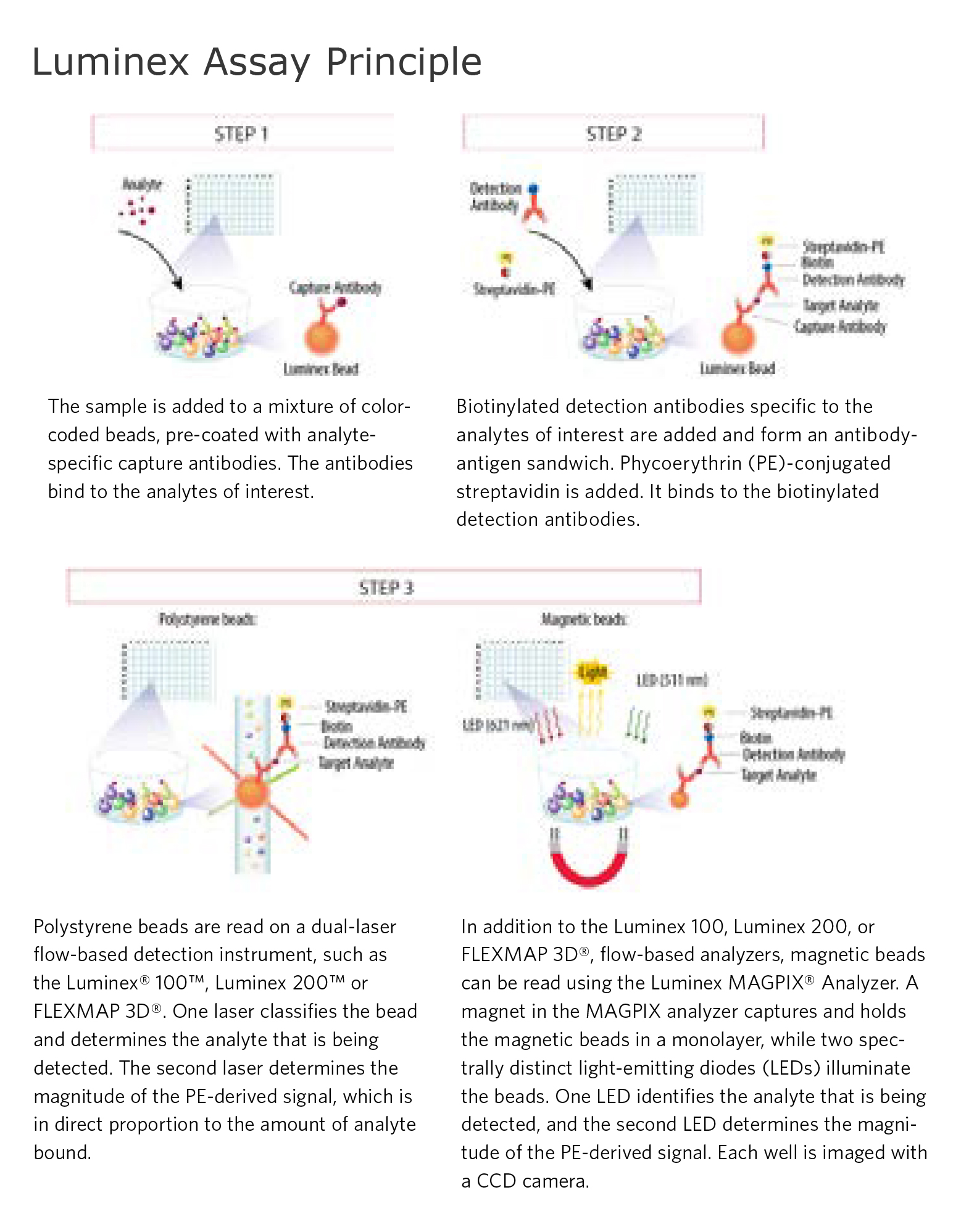 R&D Systems Luminex Assay Principle