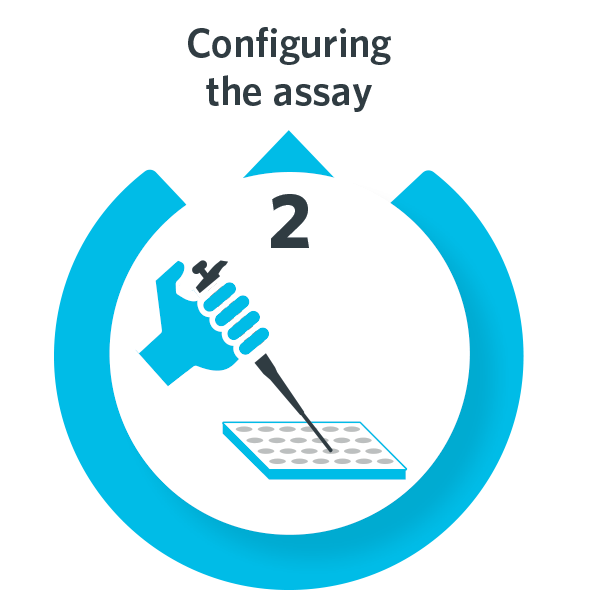 Configuring the assay