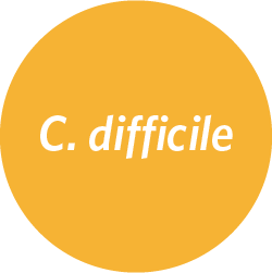 ARIES® C. difficile Assay