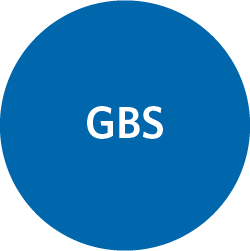 ARIES® GBS Assay