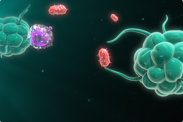 METHODS Special Issue: Multiplexing Protocol for Evaluating Biological Interactions with Nanoparticles