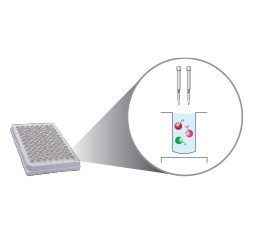 xMAP® SARS-CoV-2 Multi-Antigen IgG Assay Workflow Step 1