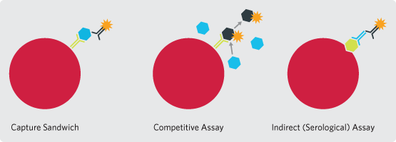 Capture Sandwich Immunoassay