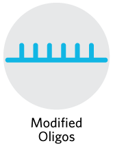 Modified Oligos