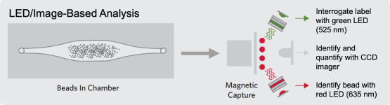 MAGPIX®: LED/Image-Based Analysis