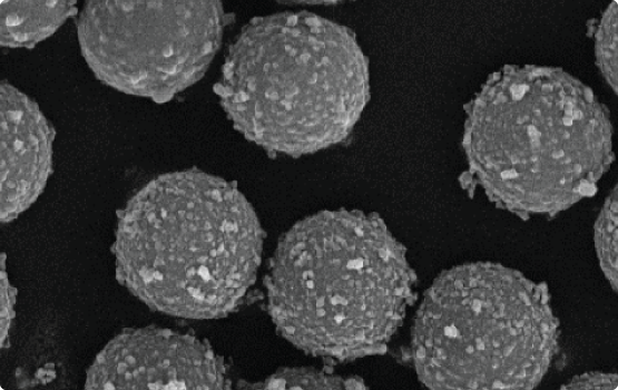 xMAP MagPlex Microspheres