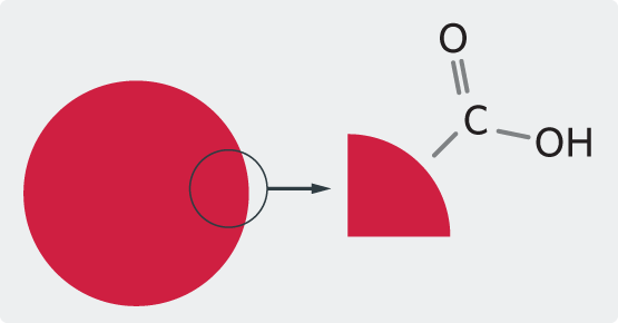 Microsphere Surface