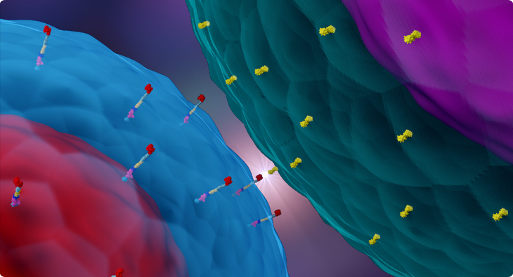 MagPlex® Monitoring Microspheres