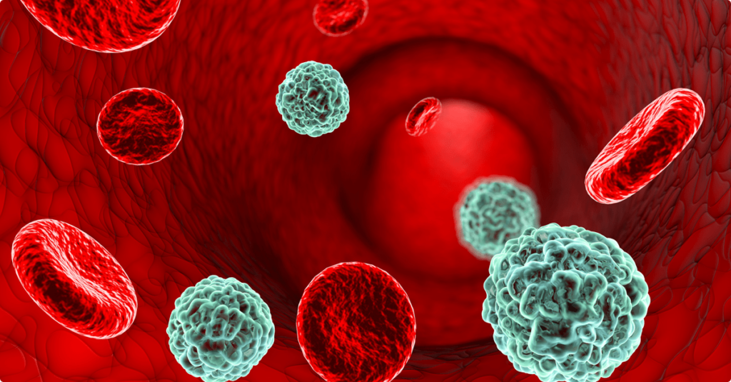 Camera-Based Flow Cytometers Enable Deep Immunophenotyping of PBMCs